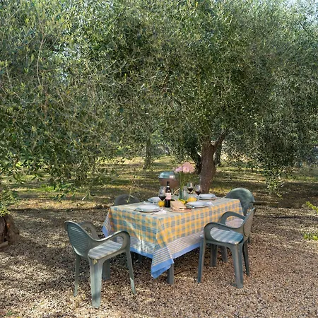Casa Ai Campi-1 By Interhome Imperia